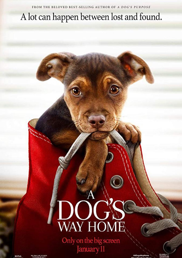 'A Dog's Way Home' movie poster
