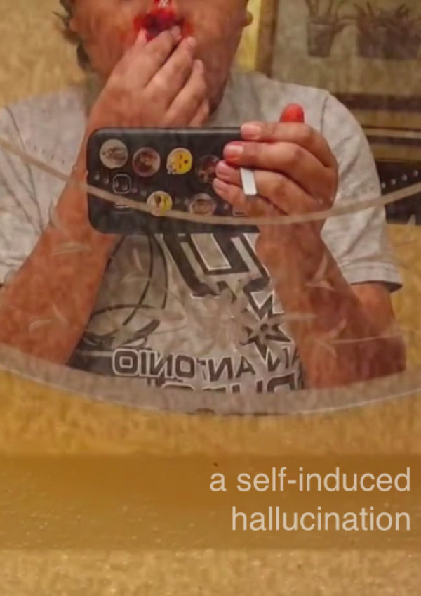 'A Self-Induced Hallucination' movie poster