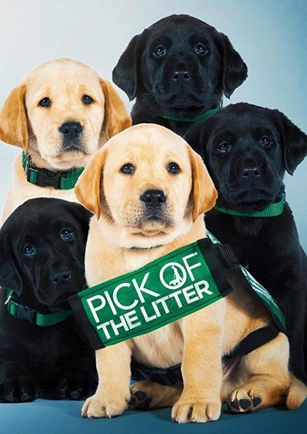 'Pick Of The Litter' movie poster